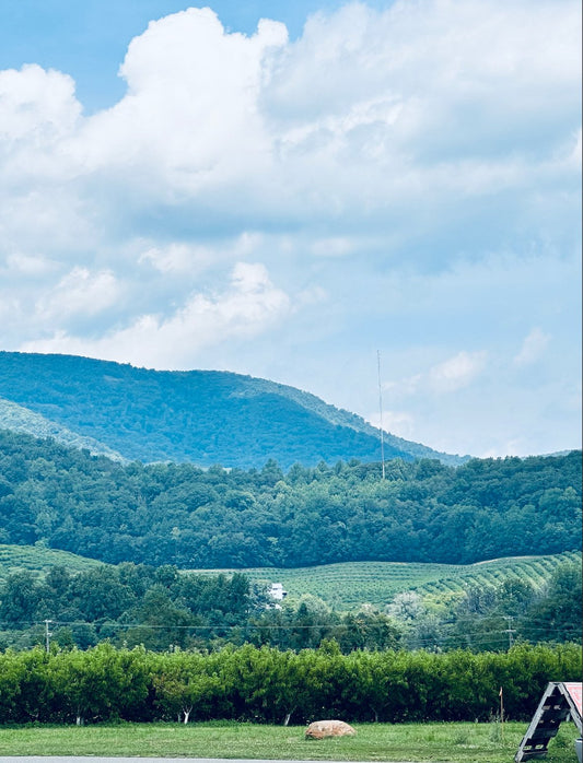 We are happy to be in Virginia! - Appalachian Bittersweet