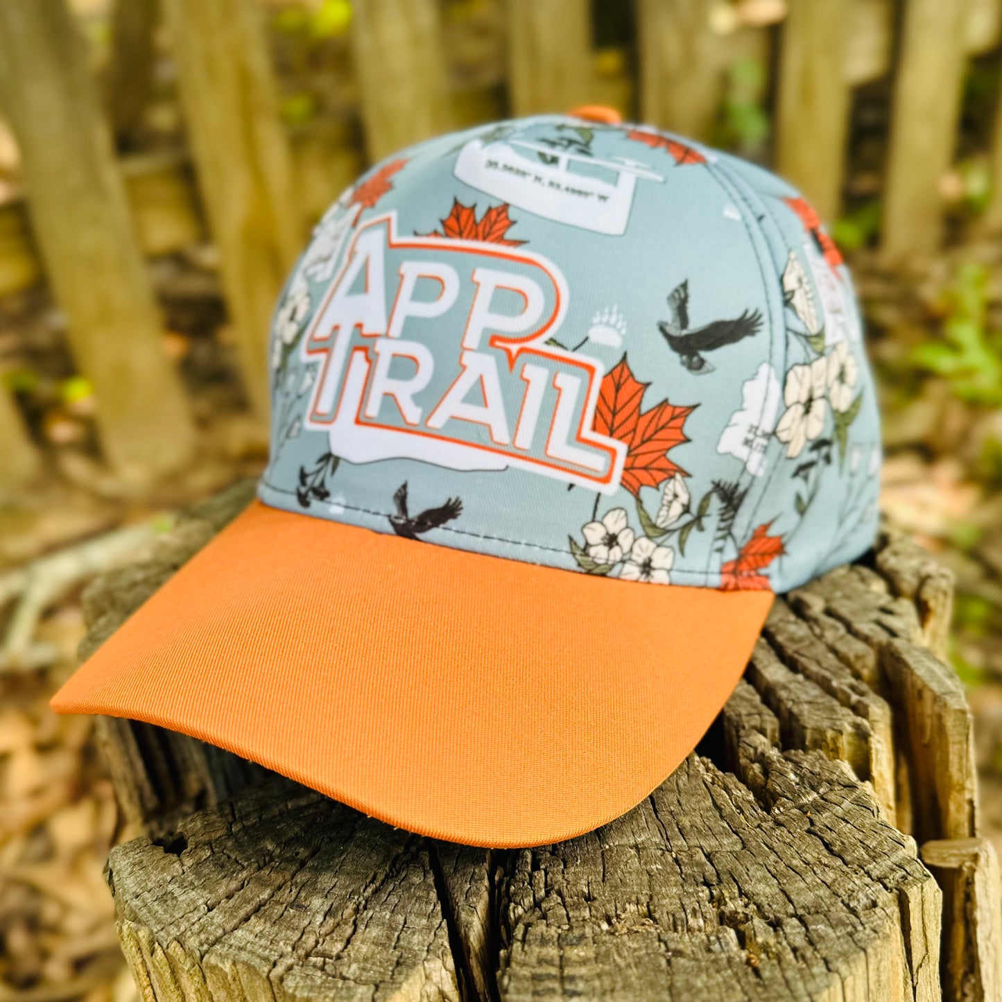 Appalachian Trail Hiker Retro Snapback Cap