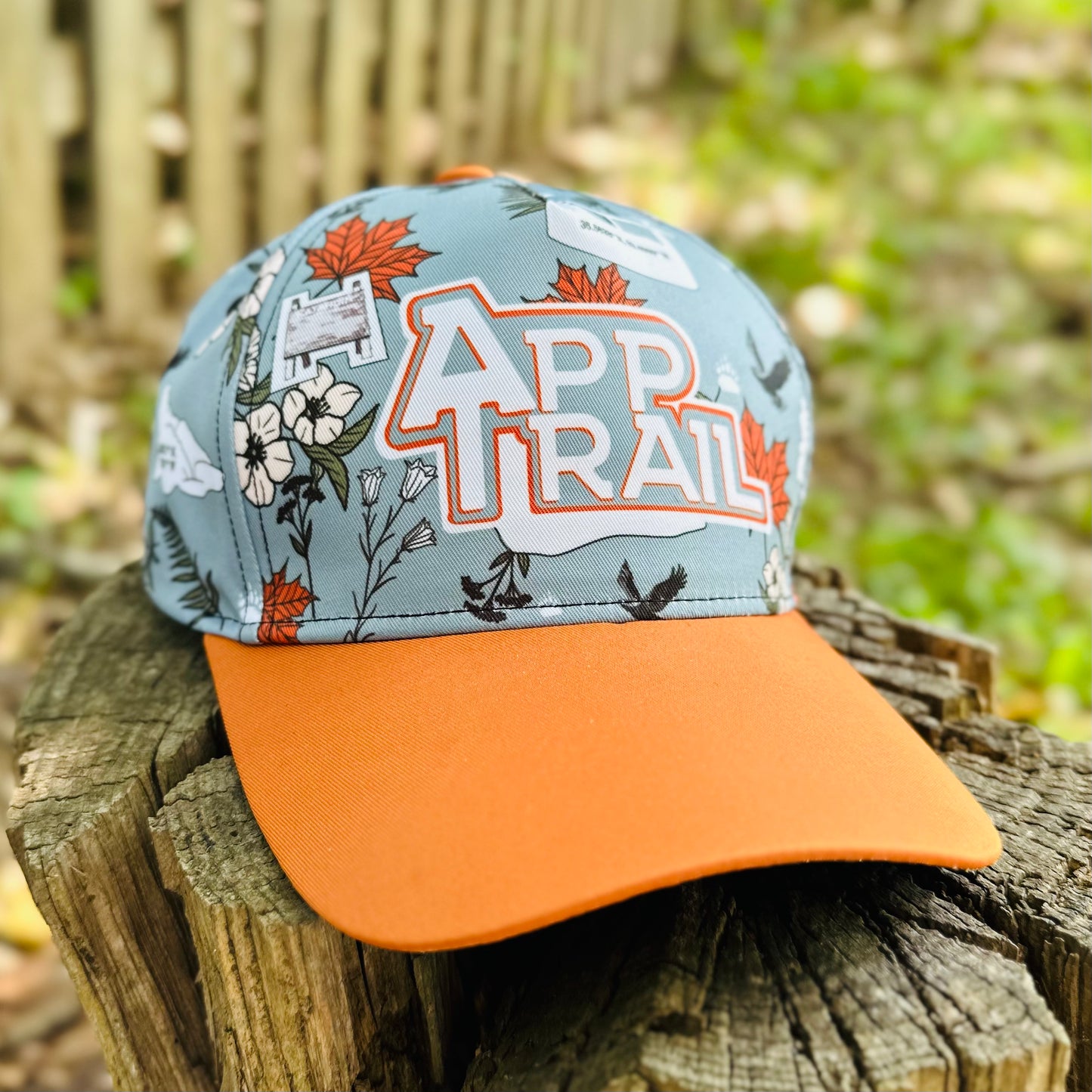 Appalachian Trail Hiker Retro Snapback Cap