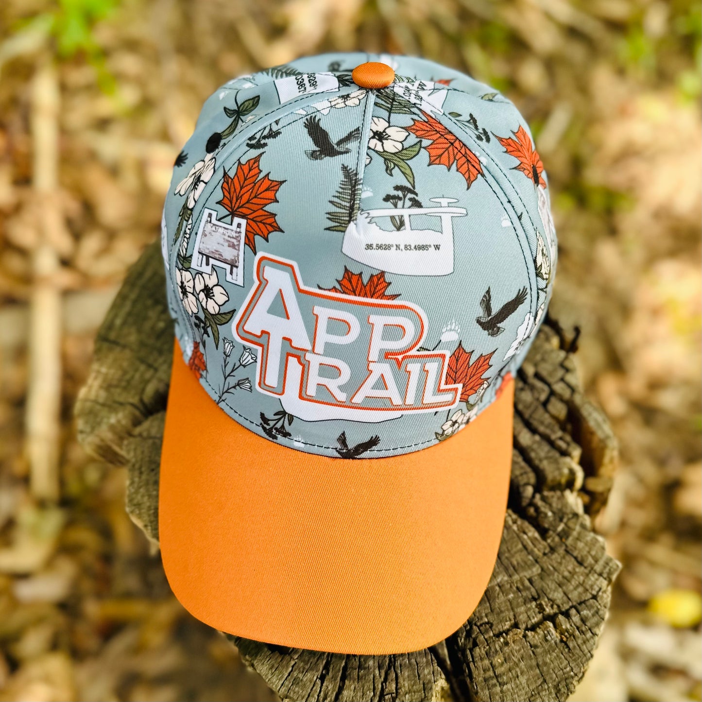 Appalachian Trail Hiker Retro Snapback Cap