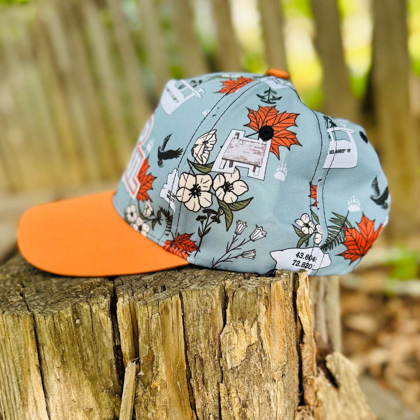 Appalachian Trail Hiker Retro Snapback Cap
