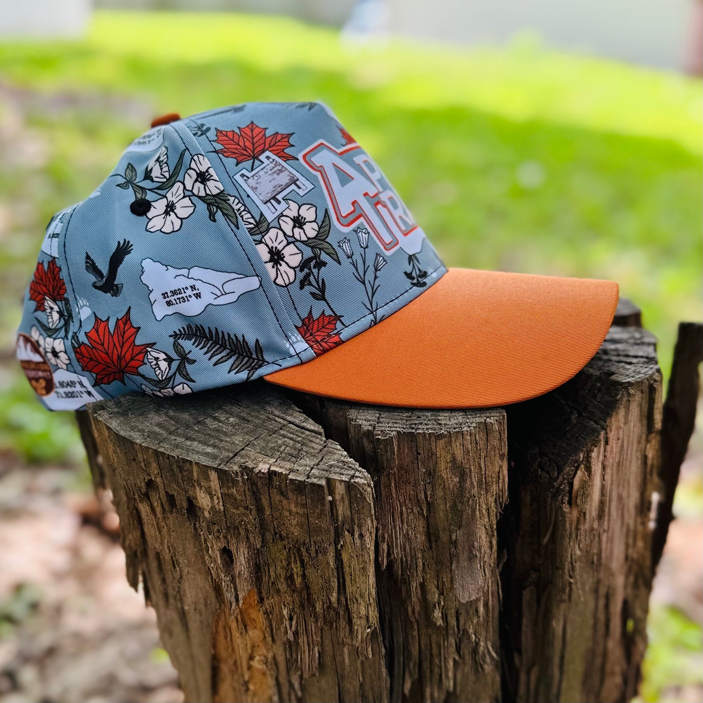 Appalachian Trail Hiker Retro Snapback Cap