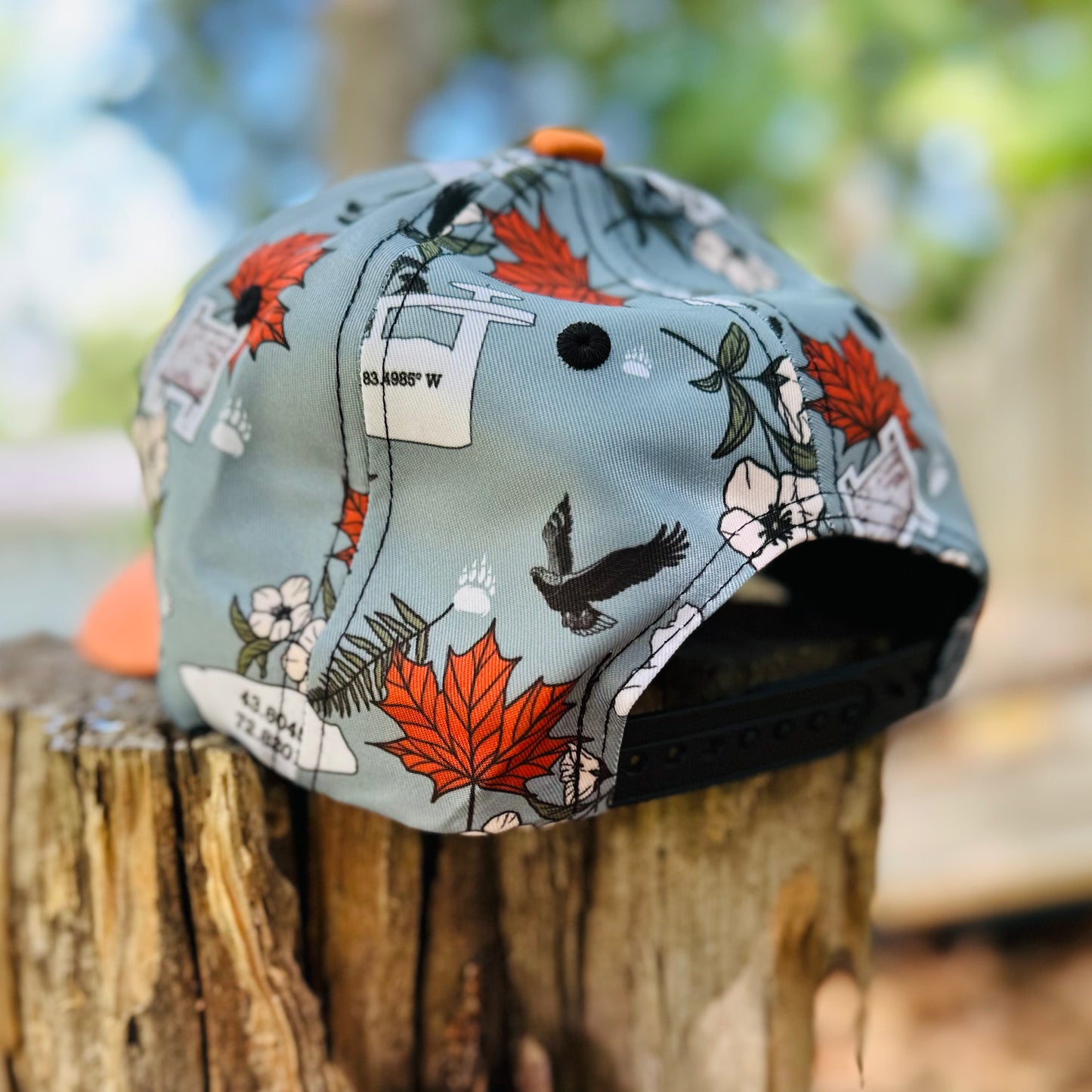 Appalachian Trail Hiker Retro Snapback Cap