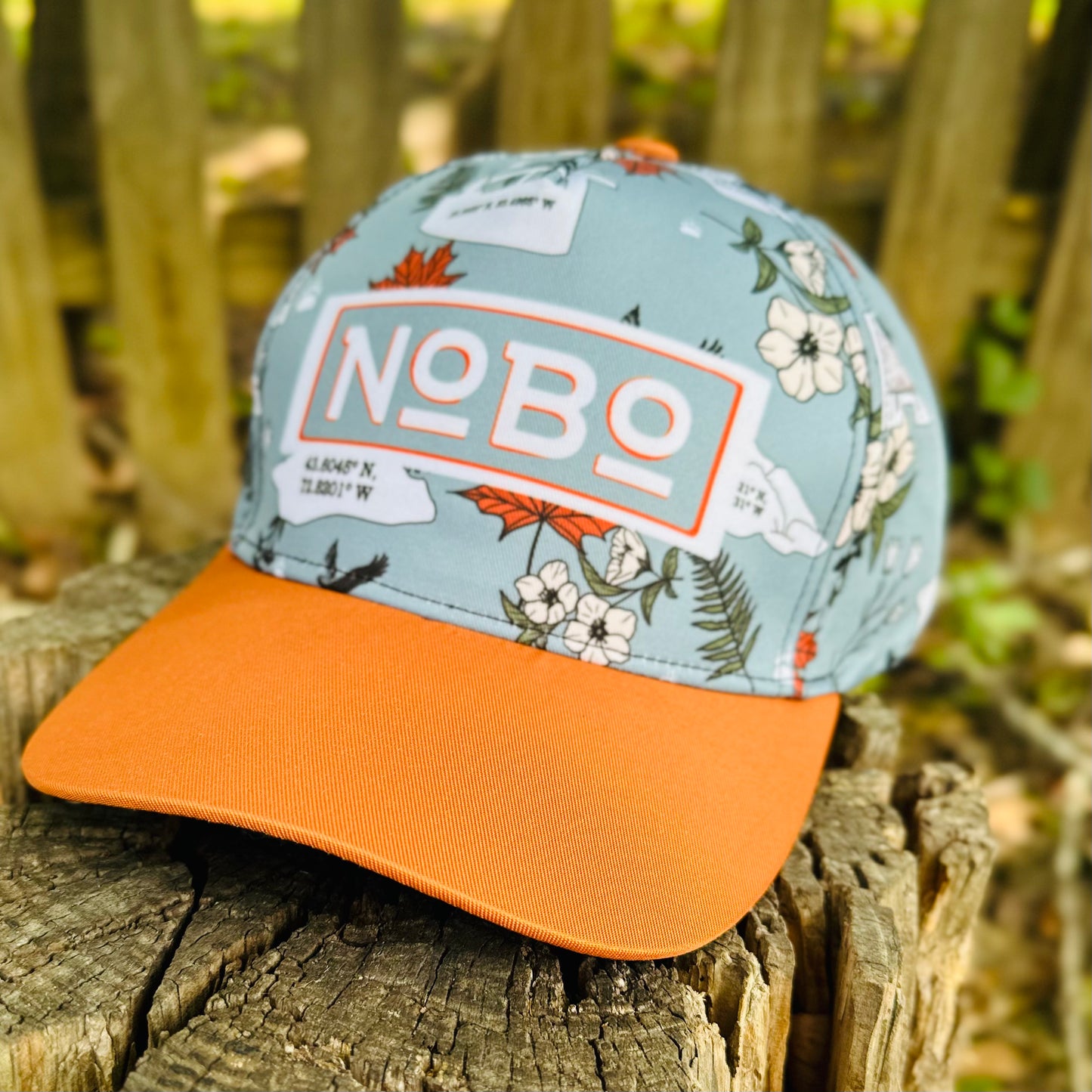 Appalachian Trail NoBo Thru Hiker Retro Snapback Cap