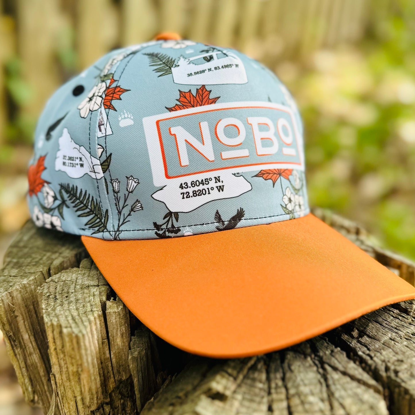 Appalachian Trail NoBo Thru Hiker Retro Snapback Cap