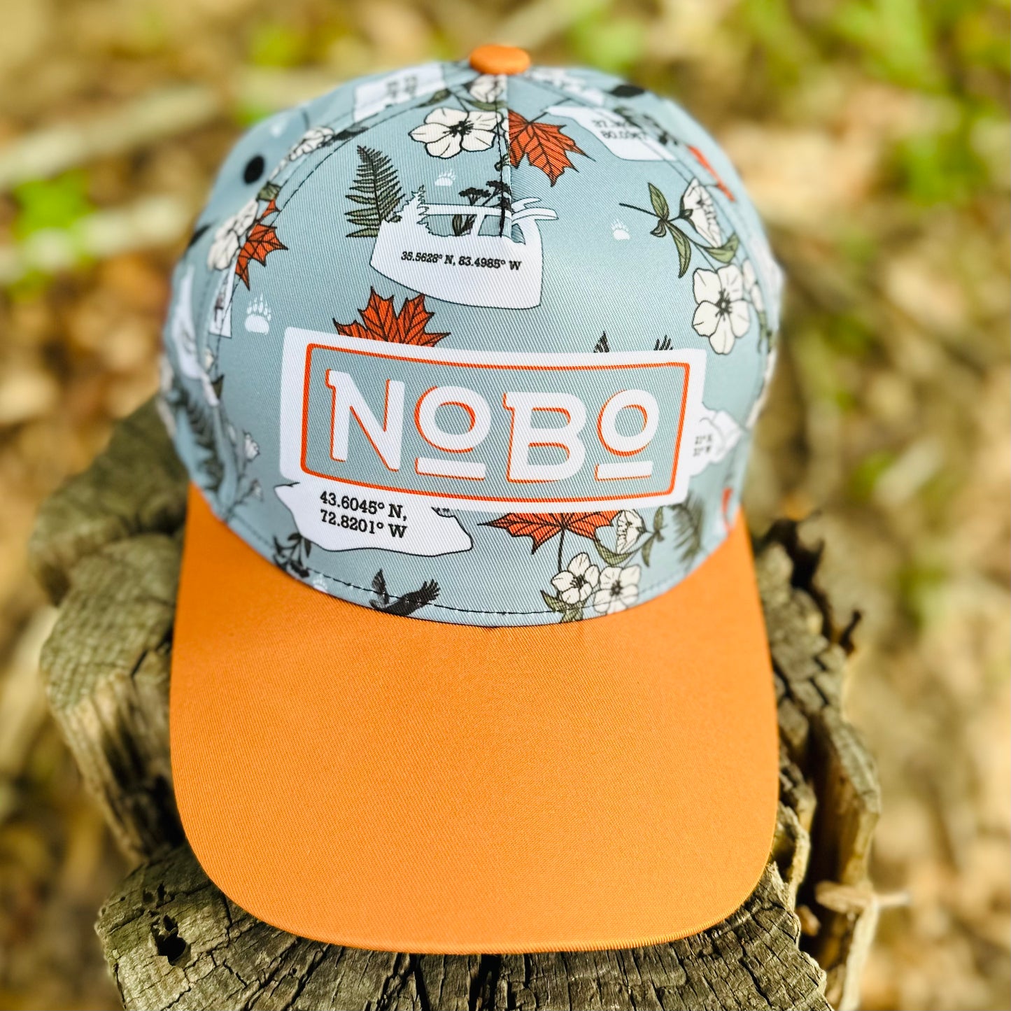Appalachian Trail NoBo Thru Hiker Retro Snapback Cap