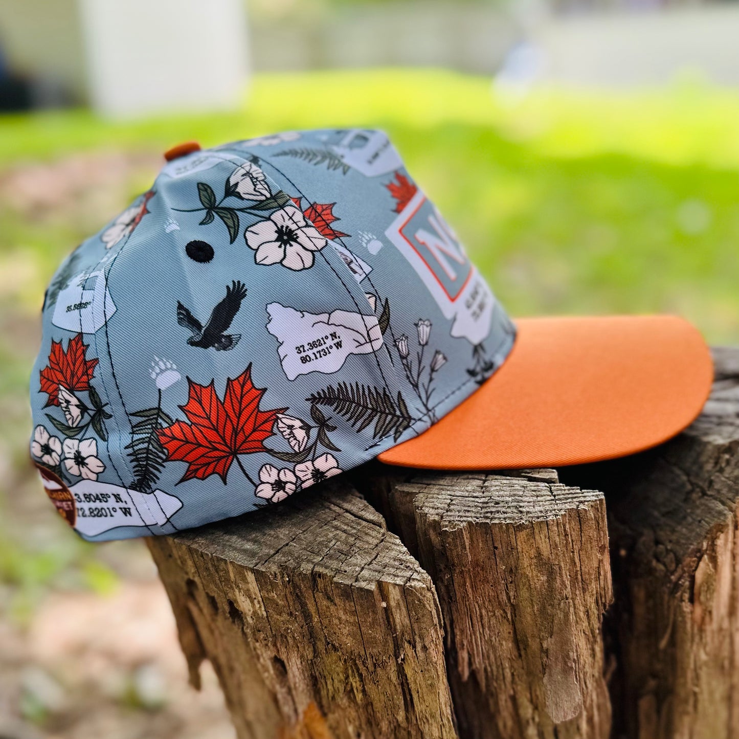 Appalachian Trail NoBo Thru Hiker Retro Snapback Cap