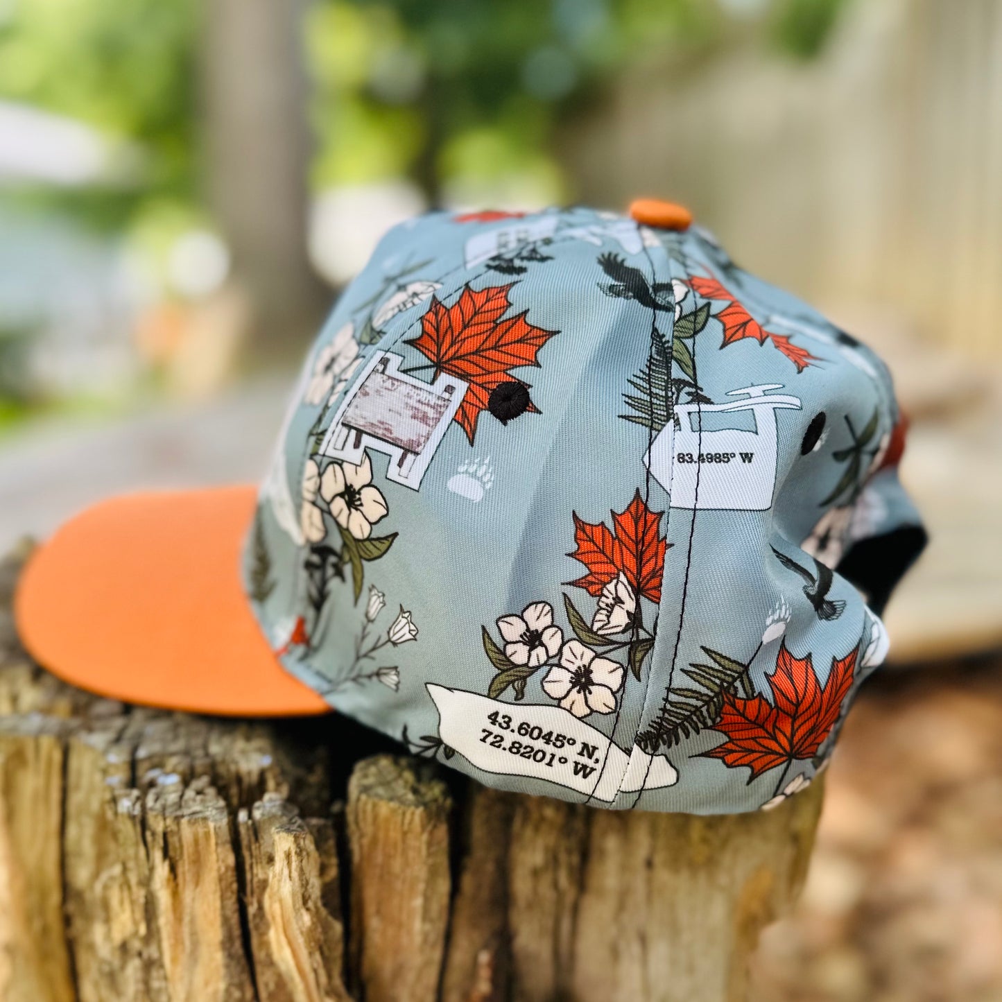 Appalachian Trail NoBo Thru Hiker Retro Snapback Cap