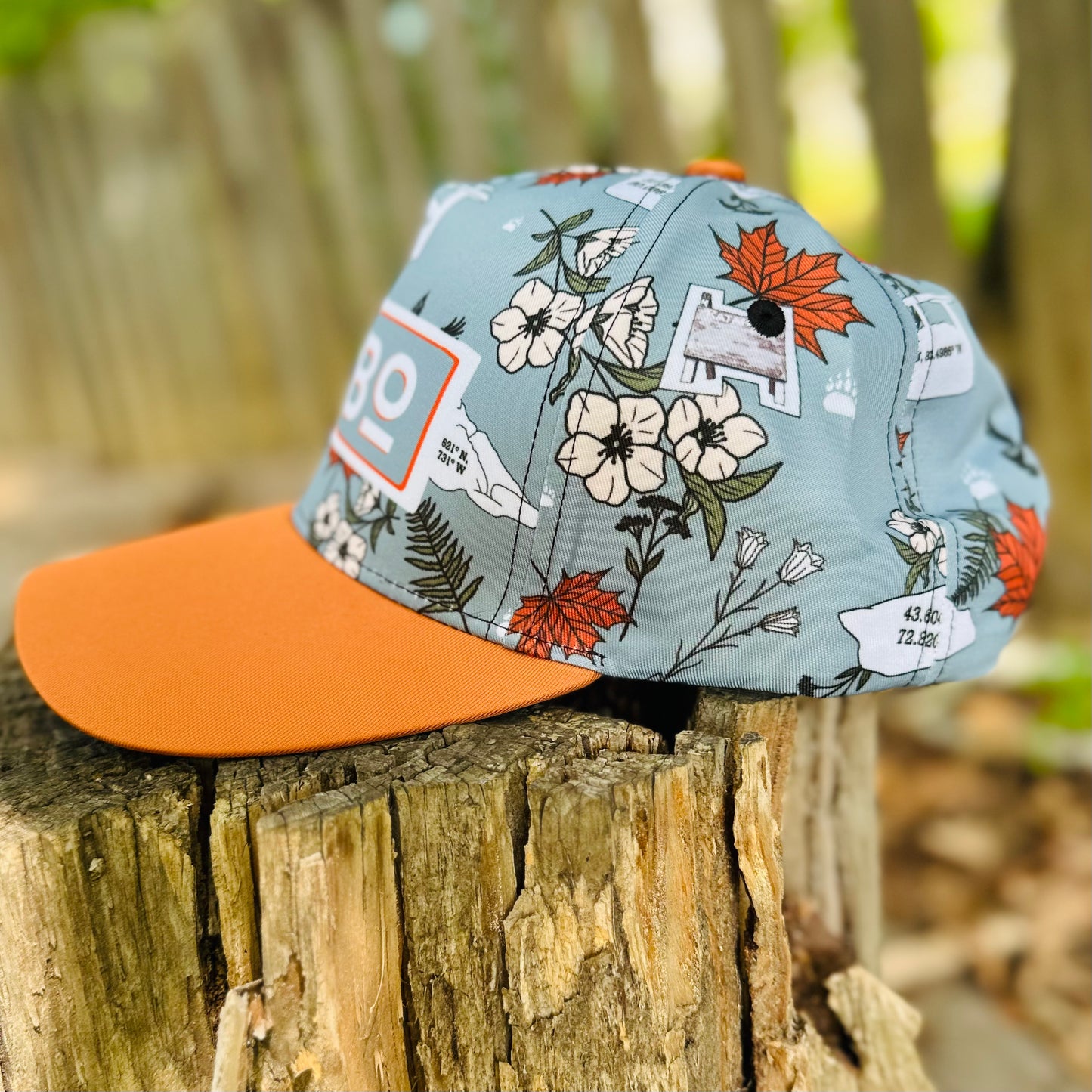 Appalachian Sobo Trail Thru Hiker Retro Snapback Cap