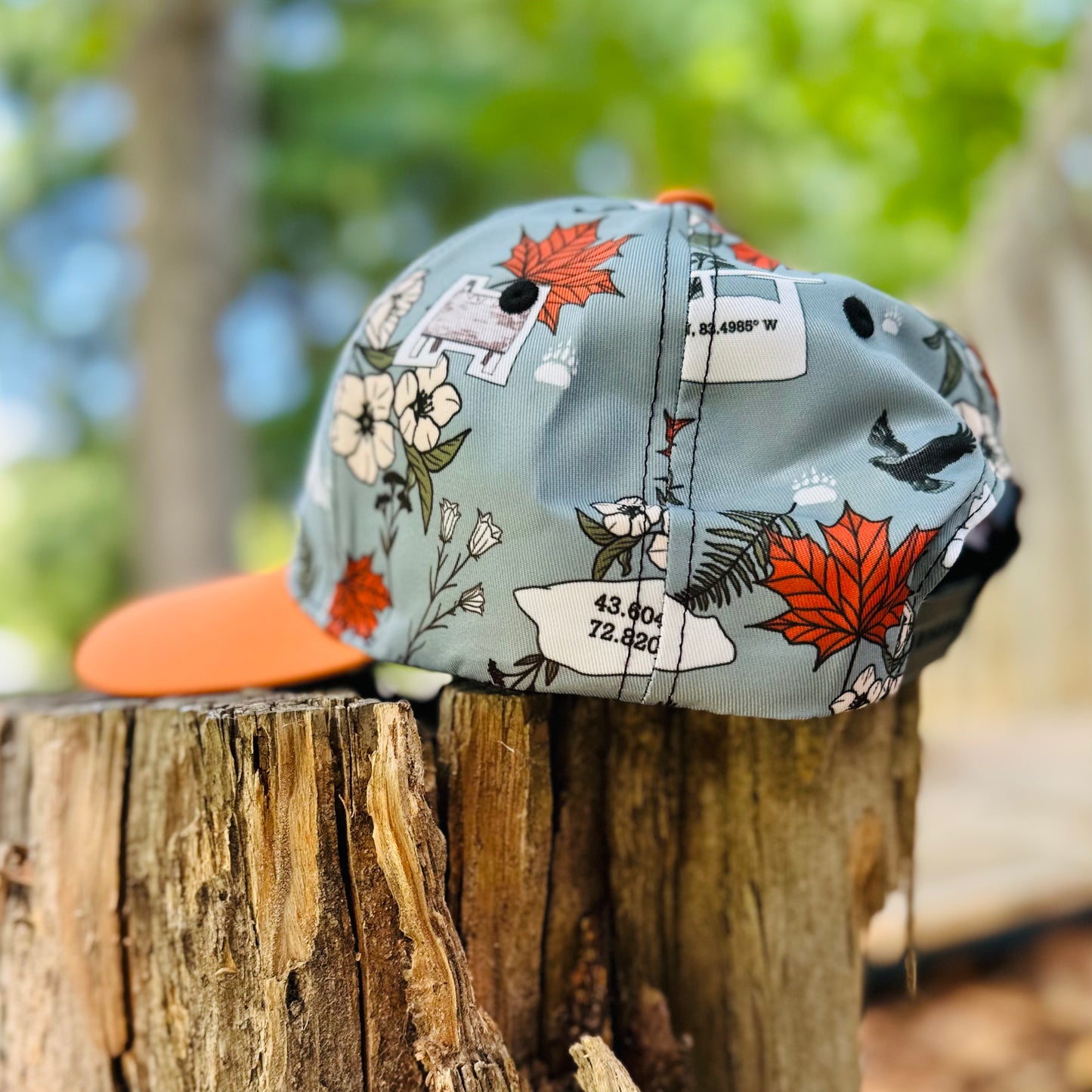 Appalachian Sobo Trail Thru Hiker Retro Snapback Cap