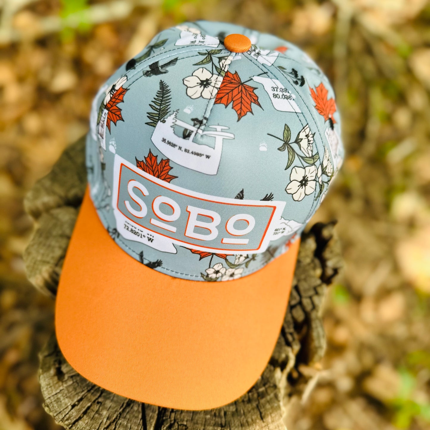 Appalachian Sobo Trail Thru Hiker Retro Snapback Cap