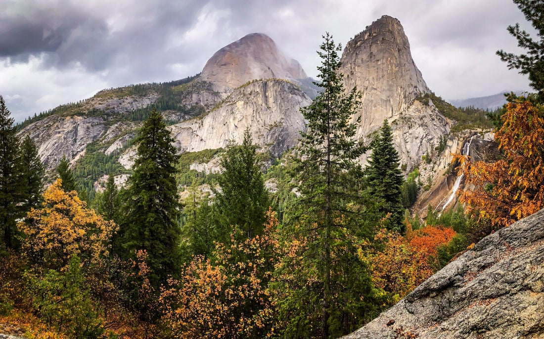 Yosemite Half Dome Hike - iPhone Photography - Appalachian Bittersweet