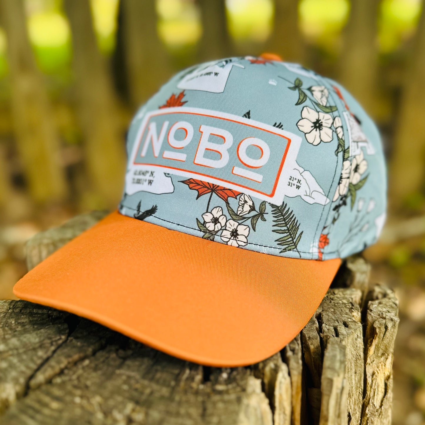 Appalachian Trail Hat - NoBo Thru Hiker Retro Snapback Cap 
