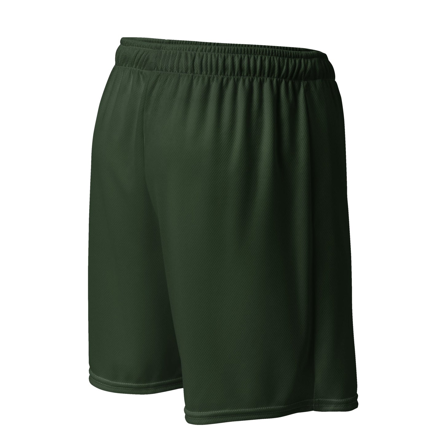 Evergreen RecycledUnisex Comfort Mesh Hiking Shorts - Appalachian Bittersweet - Shorts